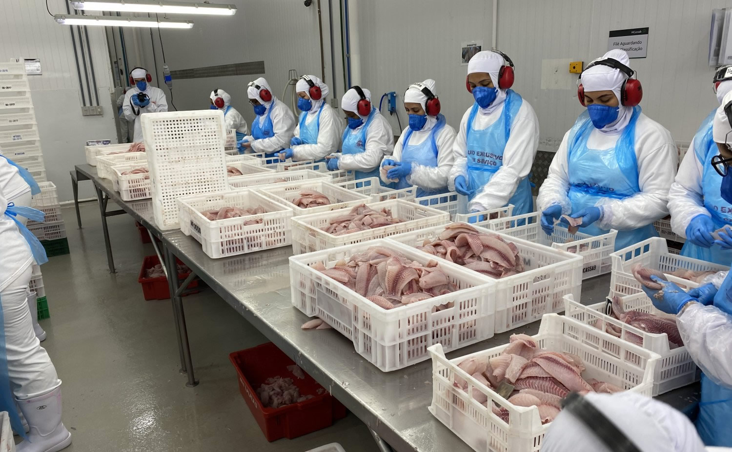 Brasil e UE negociam auditoria para pescado e pré-listing para carne bovina e ovo