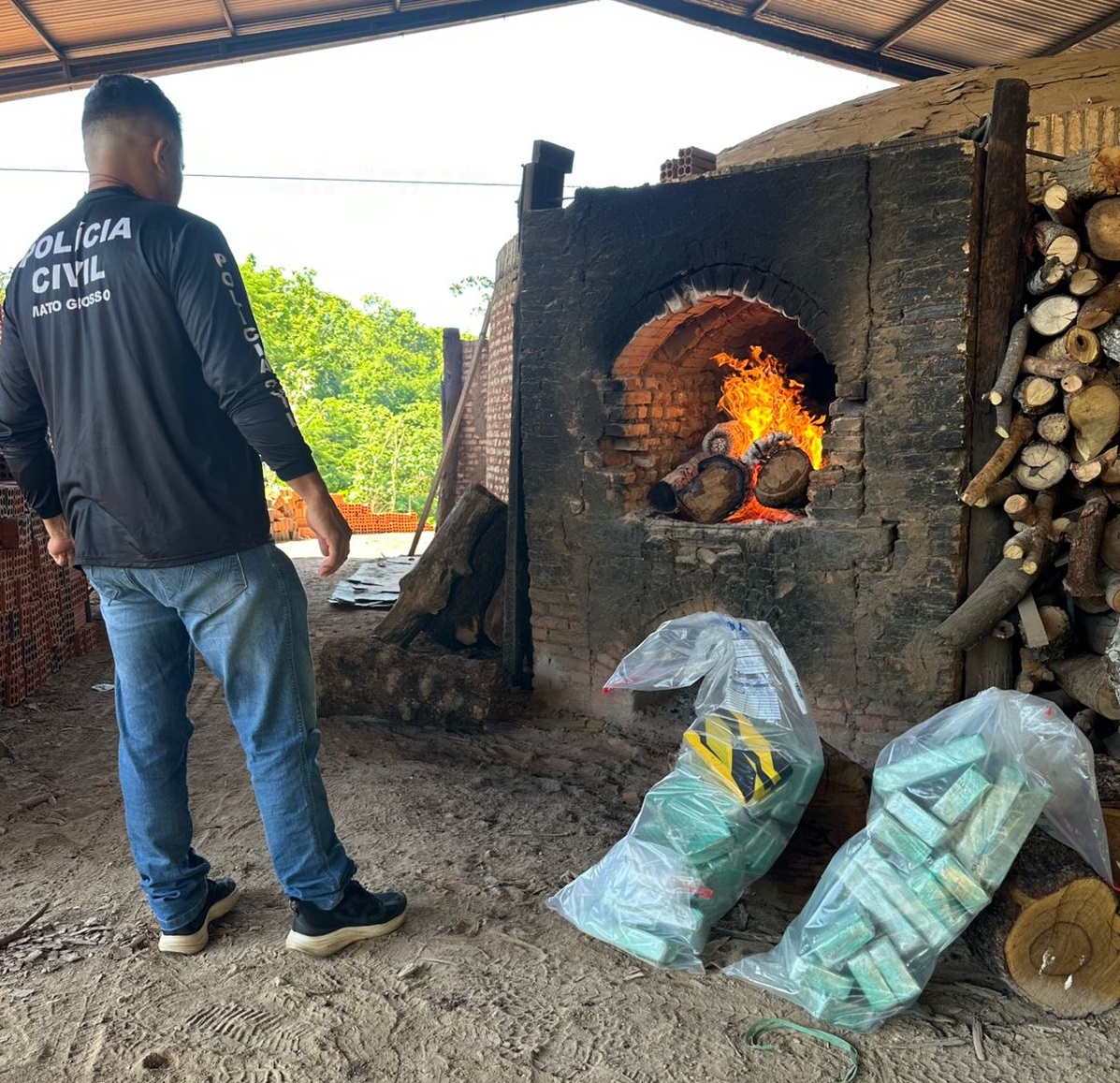 Polícia Civil incinera 30 quilos de entorpecentes apreendidos em caminhão frigorífico em Barra do Garças