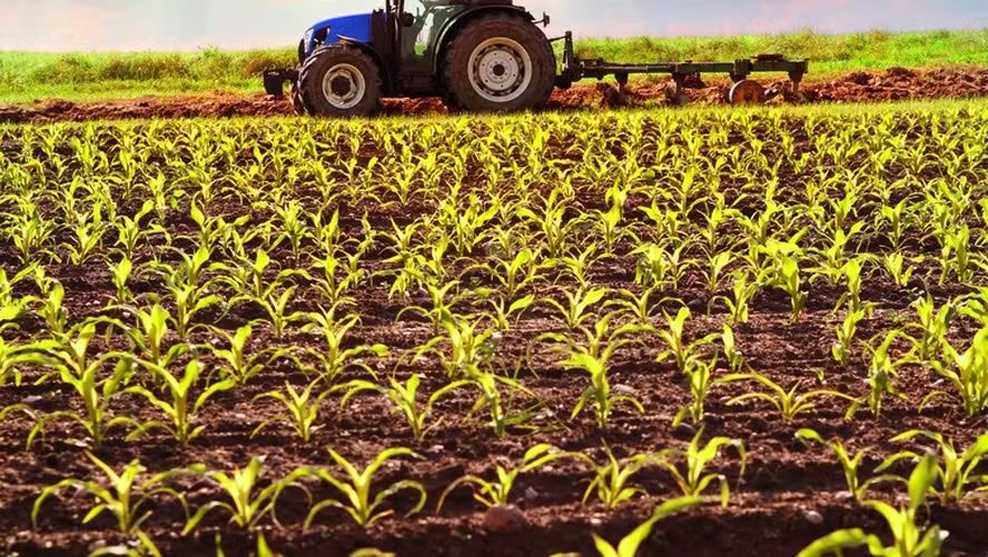 Agtech Produzindo Certo capta R$ 20,7 mi para ampliar monitoramento de fazendas