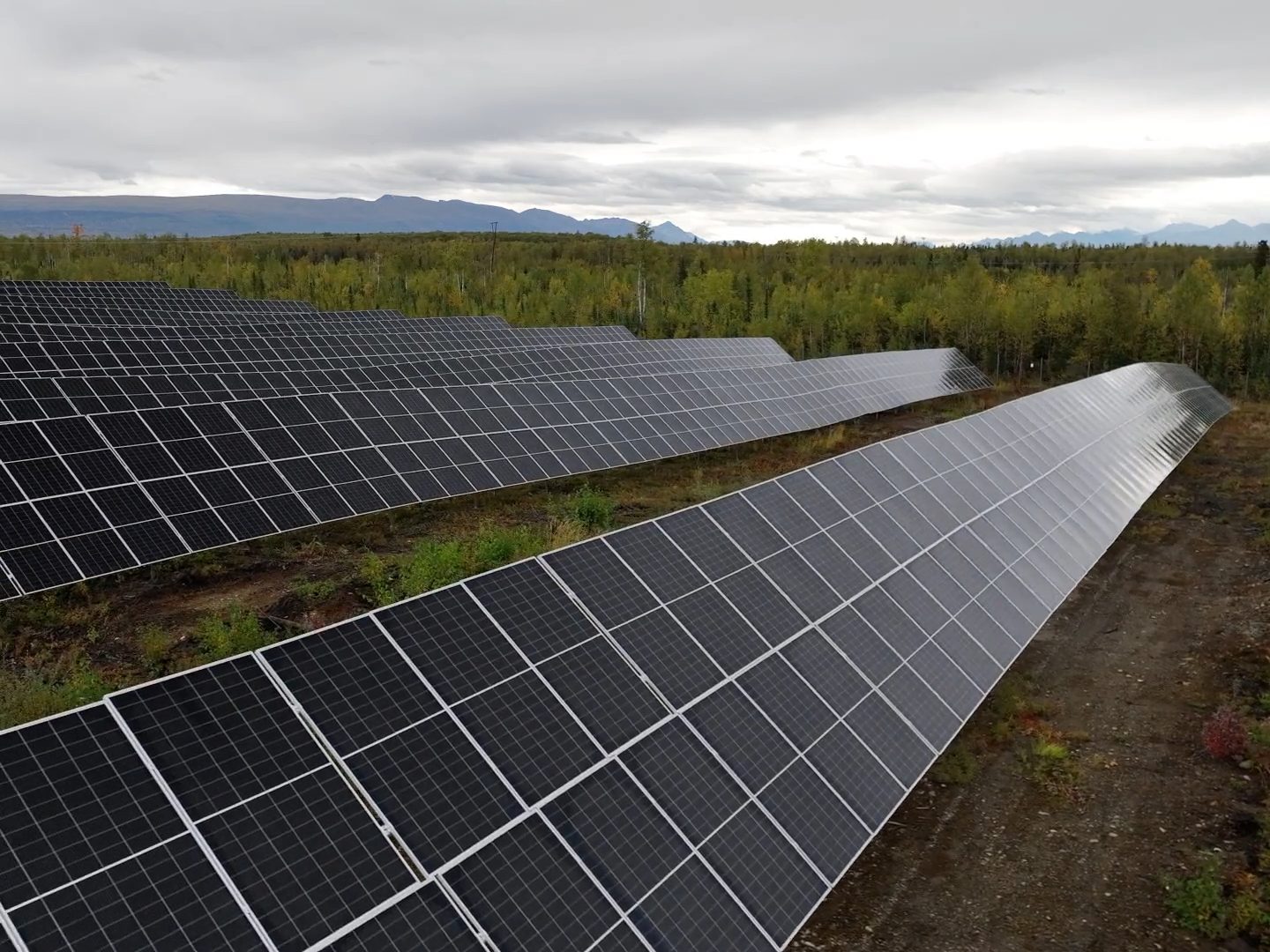 A maior fazenda solar do Alasca cultiva alimentos sob os painéis