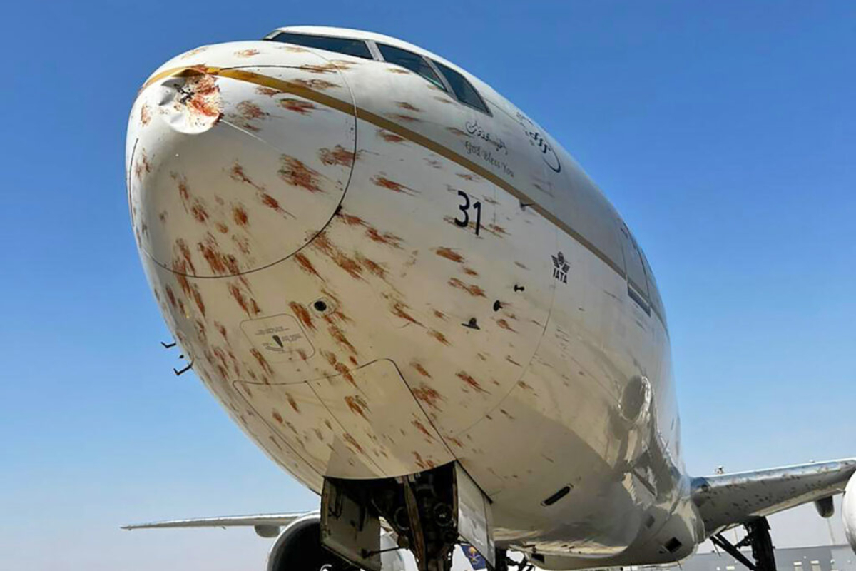 Vídeo: avião atinge pássaros na decolagem e fica coberto de sangue