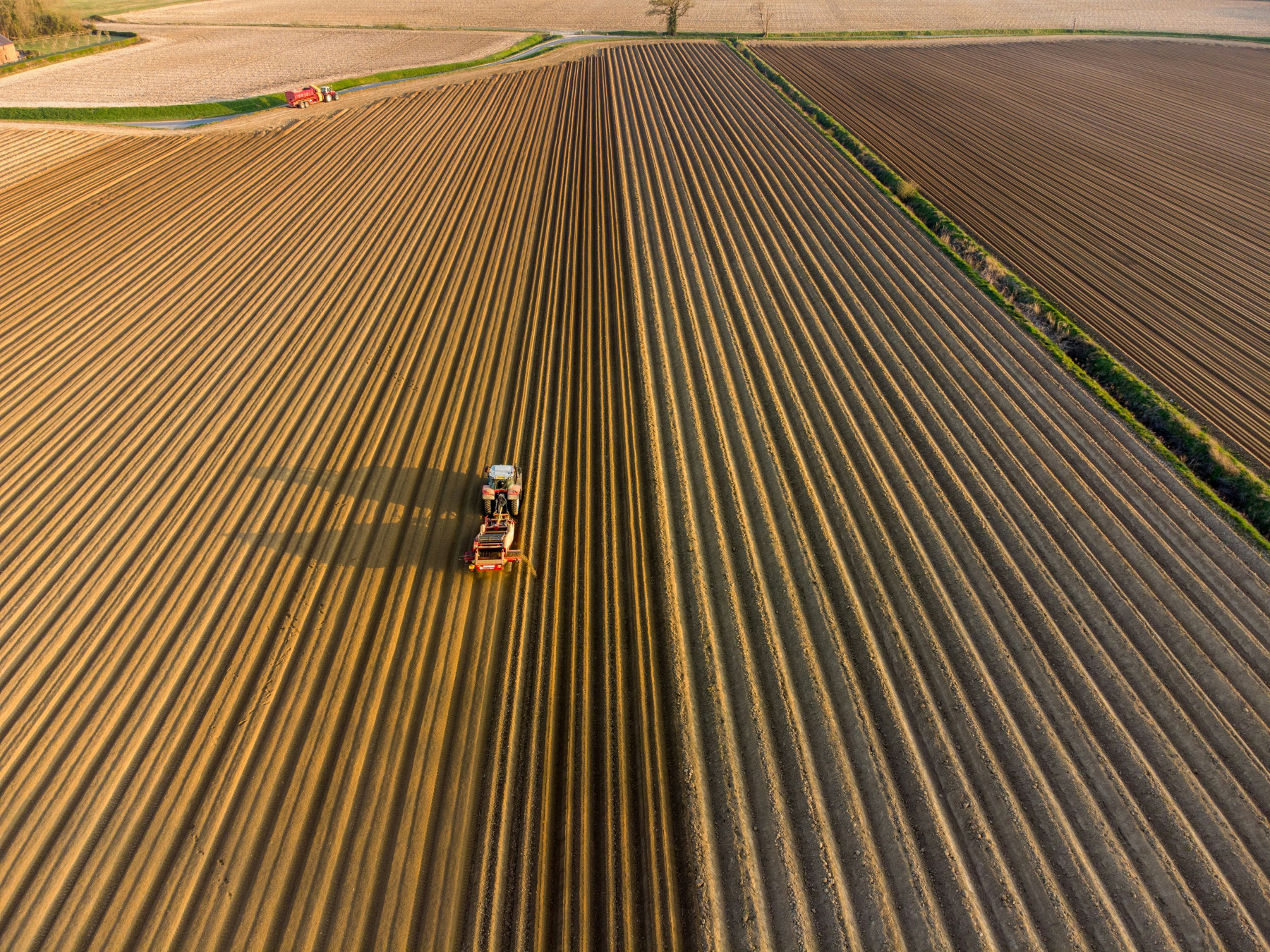 Empresas agrícolas redefinem a segurança da cadeia de suprimentos como base do comércio global