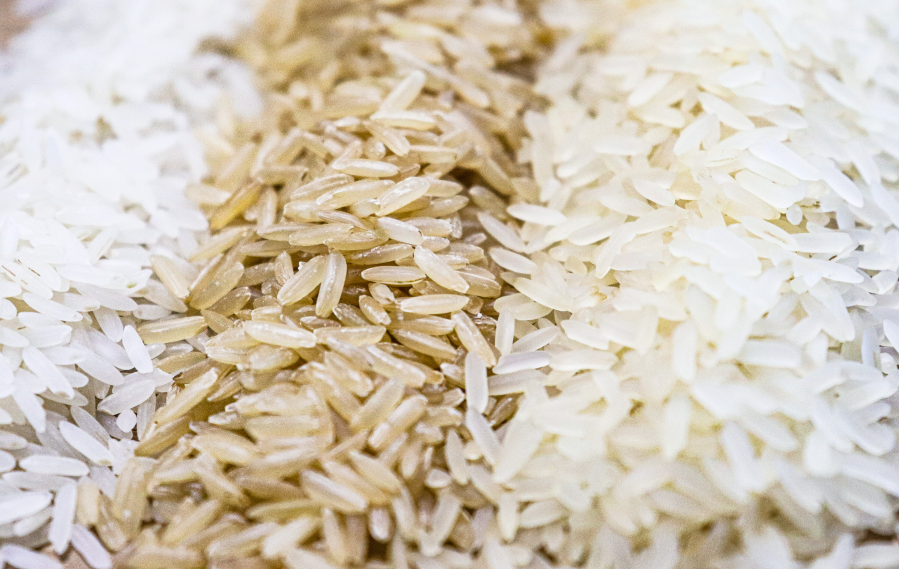 Abiarroz lança campanha de incentivo ao consumo com foco na valorização do arroz brasileiro
