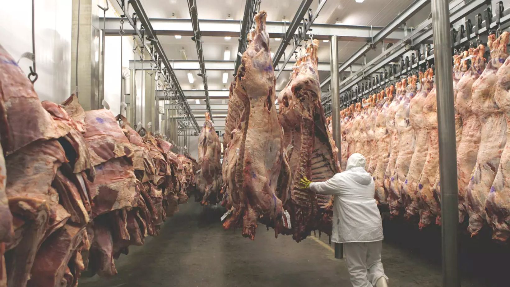 Marfrig e BRF anunciam criação da Sadia Halal