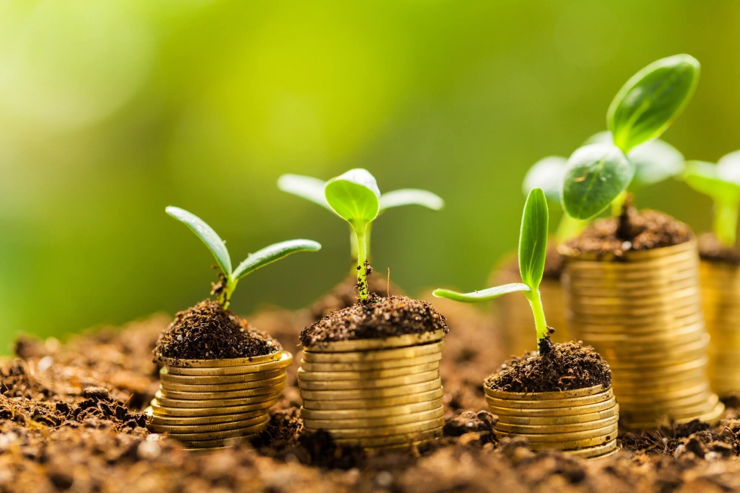 Reconstrução da Solvência surge como solução para produtores endividados