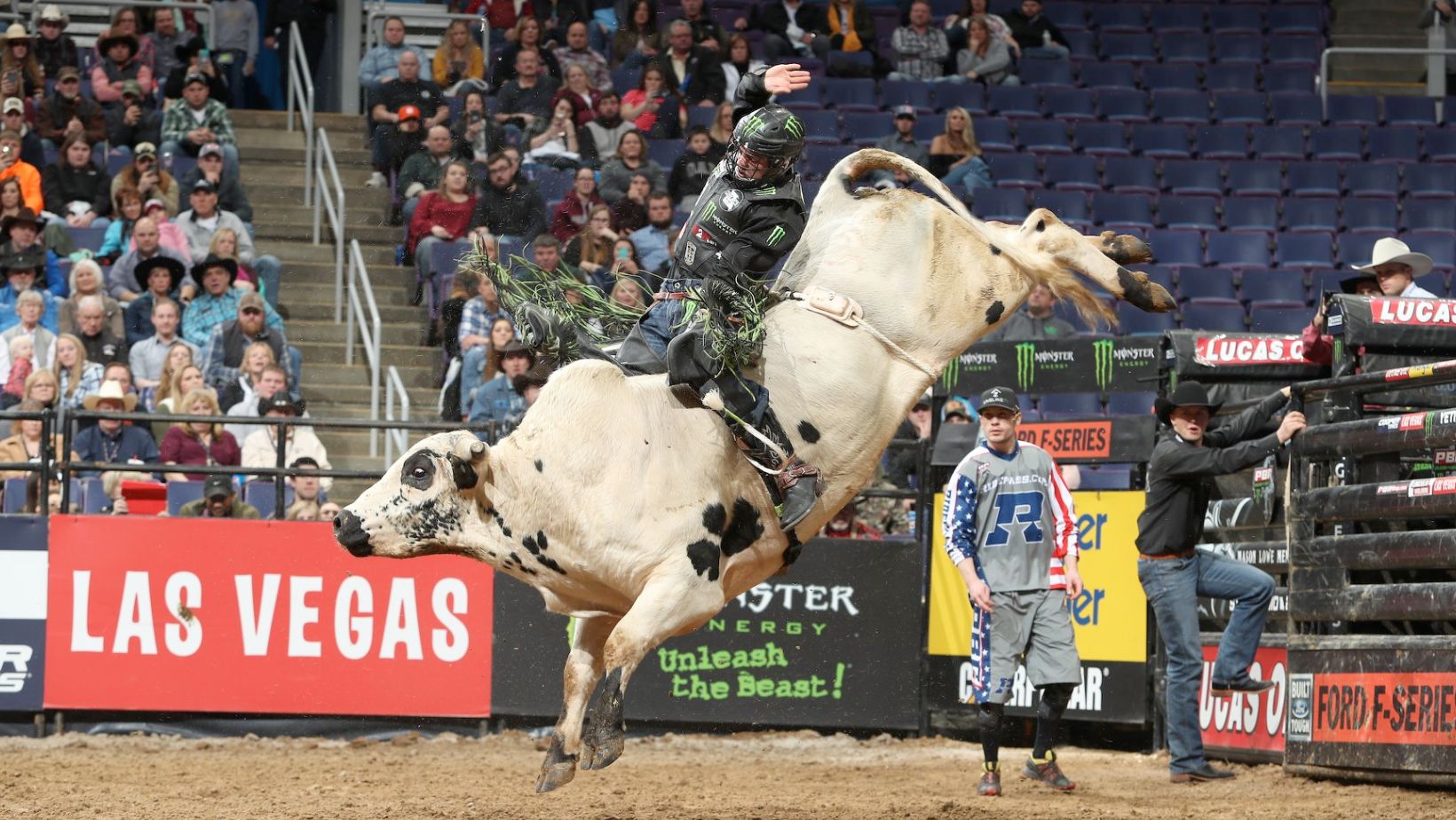 Lendário touro da PBR é aposentado das arenas; veja vídeo de montaria