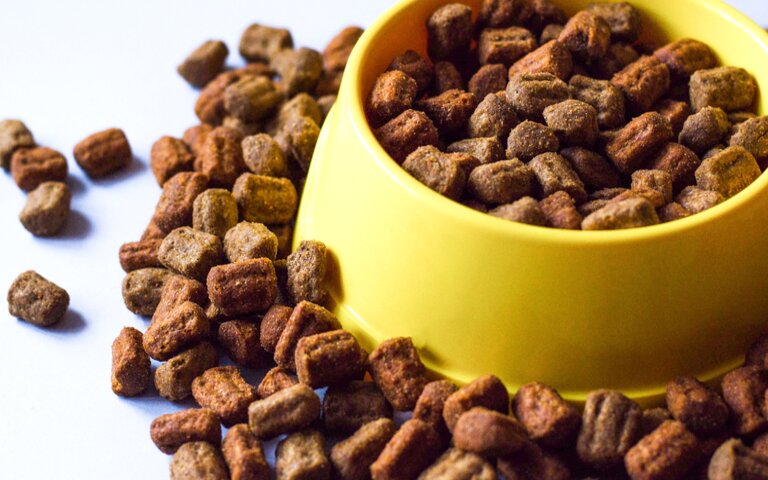 Abertura de mercados para o Brasil na Malásia e em Burkina Faso