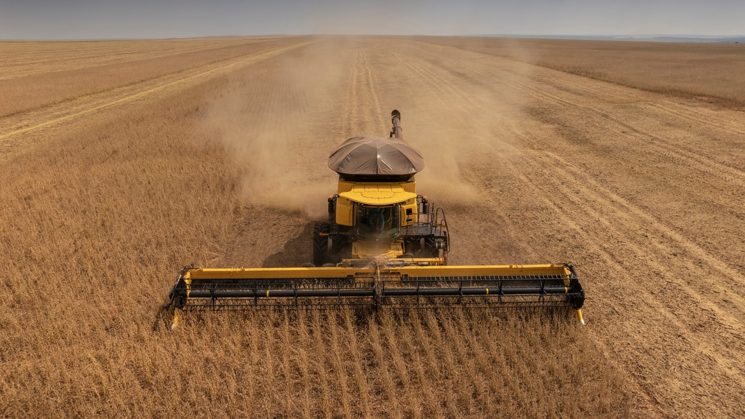Valor da terra no Brasil: preço por hectare varia de R$ 1 mil a R$ 400 mil