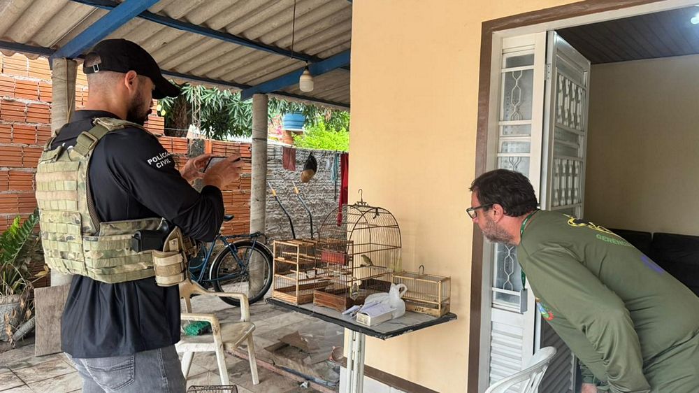 Ação nacional conjunta combate o tráfico de animais silvestres em todo o território brasileiro