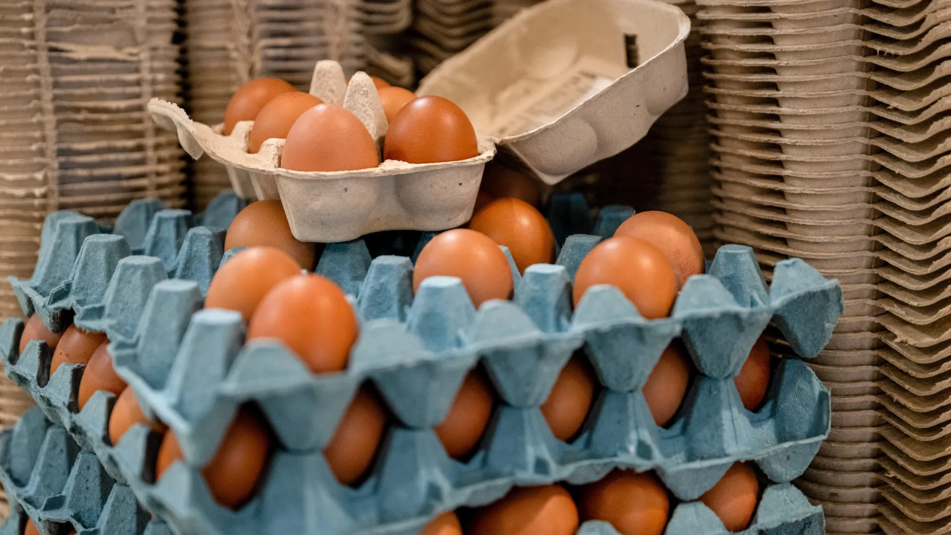 Como evitar essa doença encontrada em alimentos comuns?