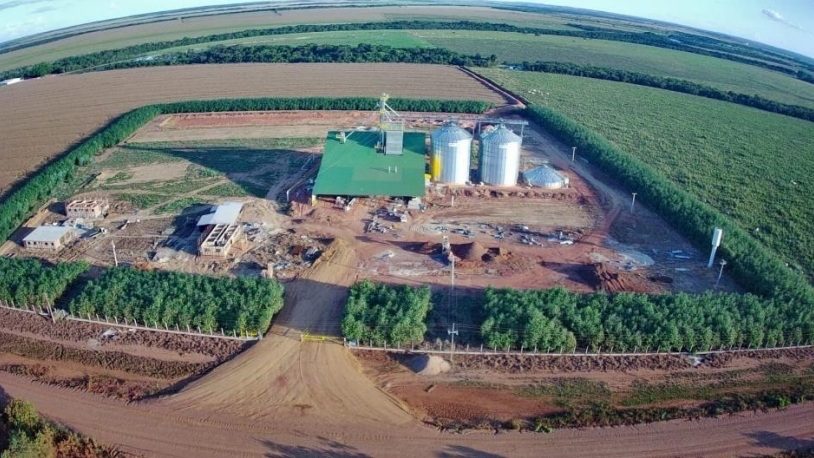 Três fazendas, 2.000 bovinos e R$ 147 milhões em dívidas, casal do agro entra em recuperação judicial