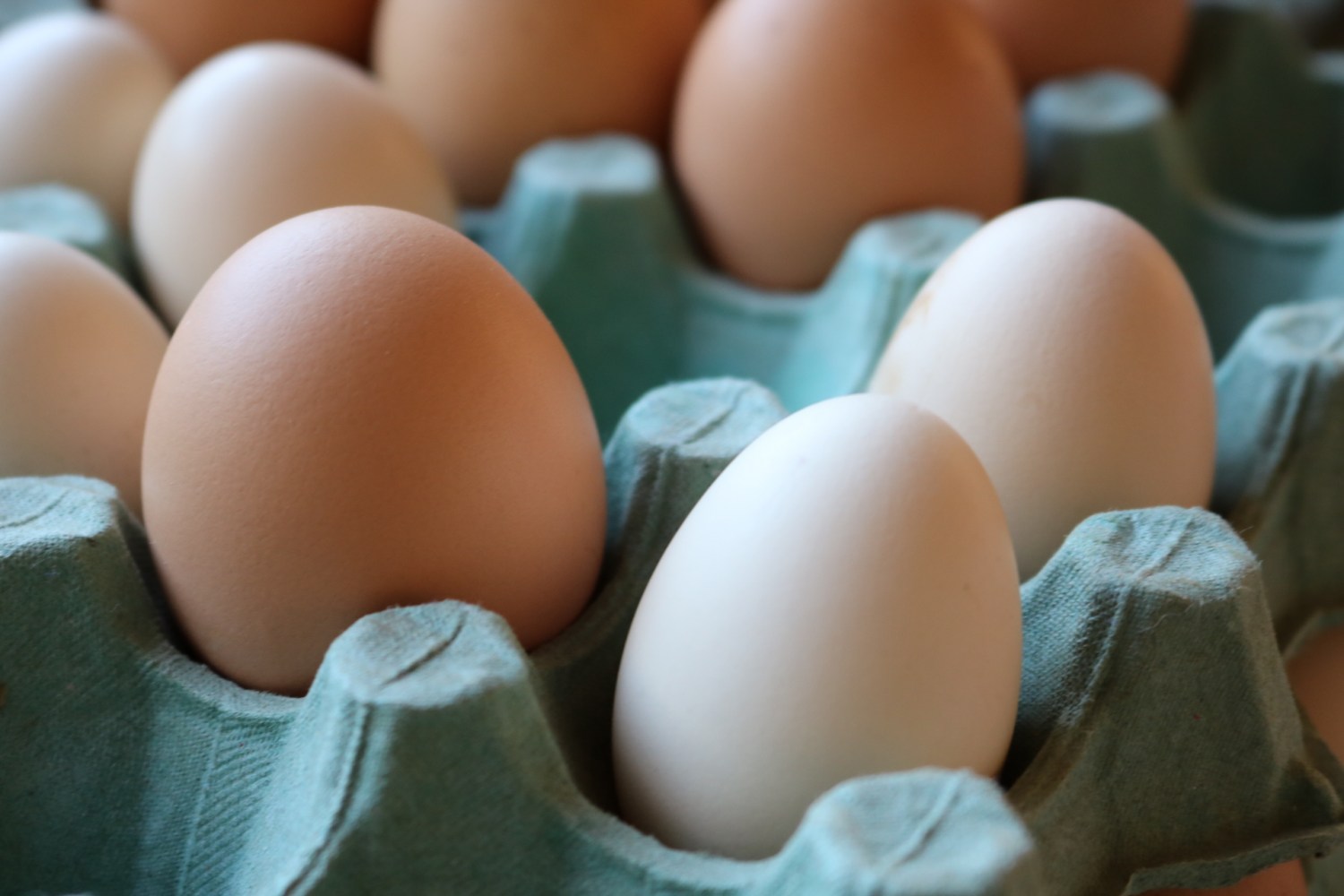Preços dos ovos caem ao menor patamar do ano