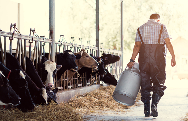 Presidente da CNA alerta para crise profunda dos produtores de leite