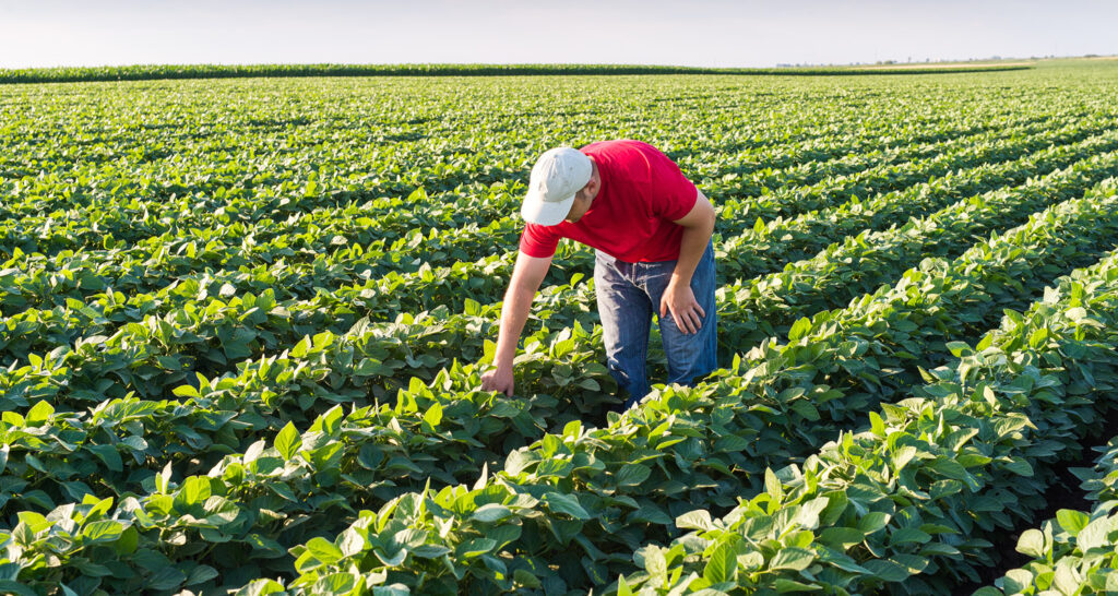 CRA aprova projeto que amplia uso de recursos dos fundos constitucionais no crédito fundiário