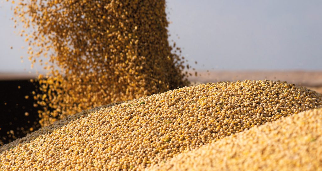 Governo quer derrocar trecho do Tocantins para transportar grãos em meio ao avanço da soja