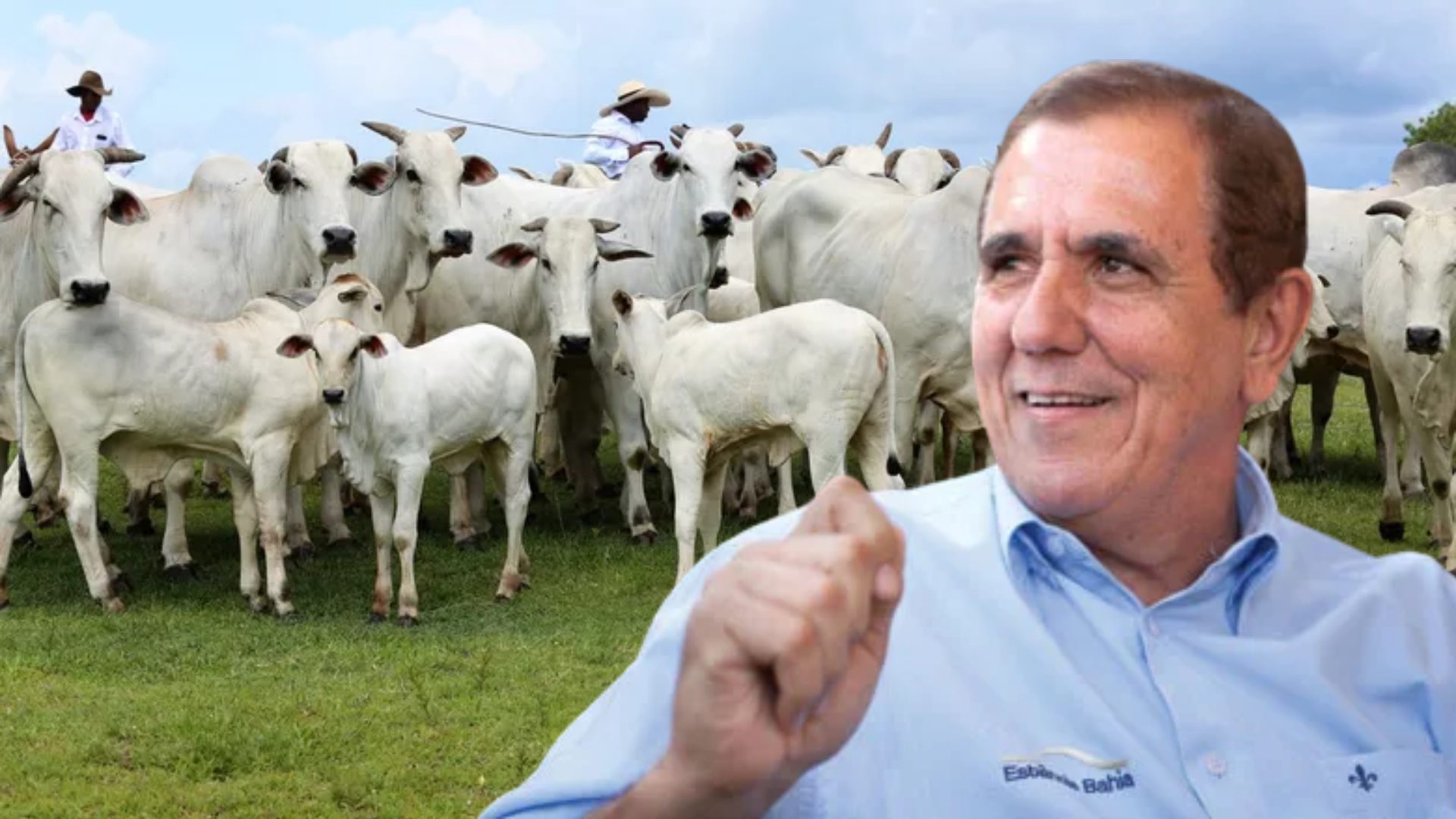 Conheça o Rei dos Leilões:  De feirante à maior leiloeiro do Brasil