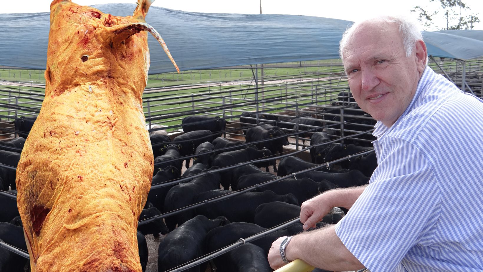 Em busca da carcaça perfeita: Qual o segredo do undecacampeão em concurso?