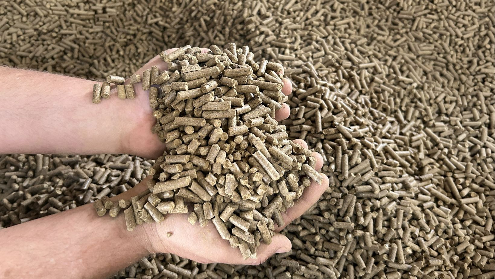 Empresa brasileira cria pellets com borra de café; conheça utilidades