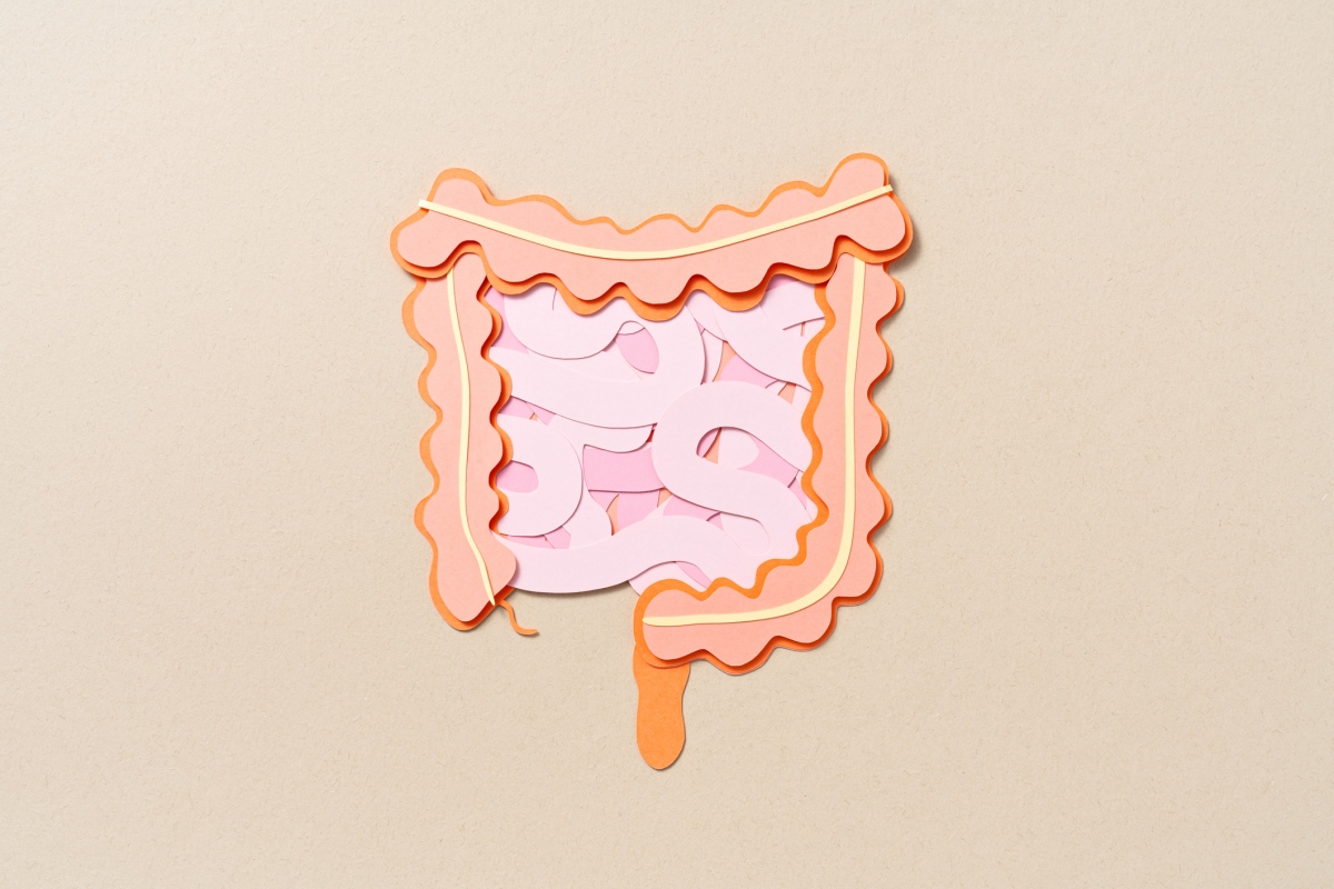 Probióticos podem reduzir danos intestinais causados por antidepressivos