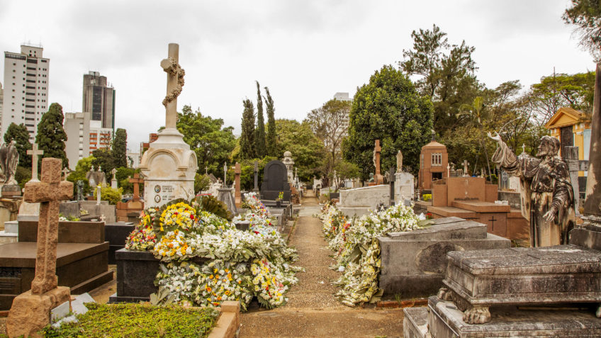 IA auxilia visitantes a localizar túmulos em cemitérios do Brasil