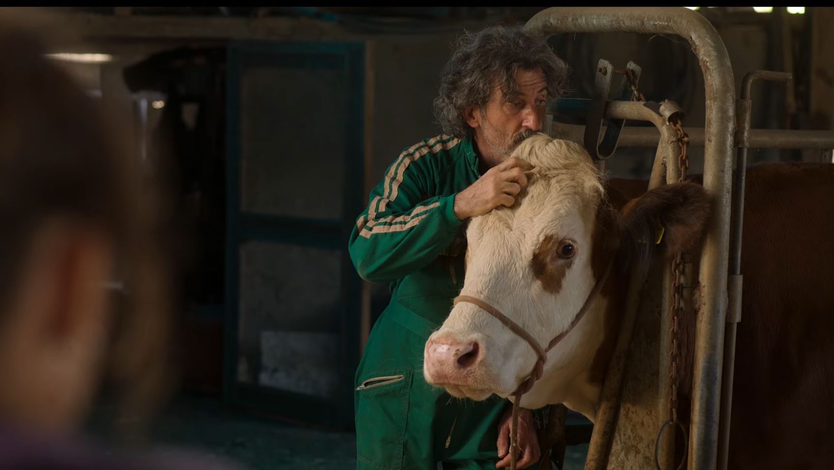 O Dr. House dos bichos entra em cena em série da Netflix; confira o trailer