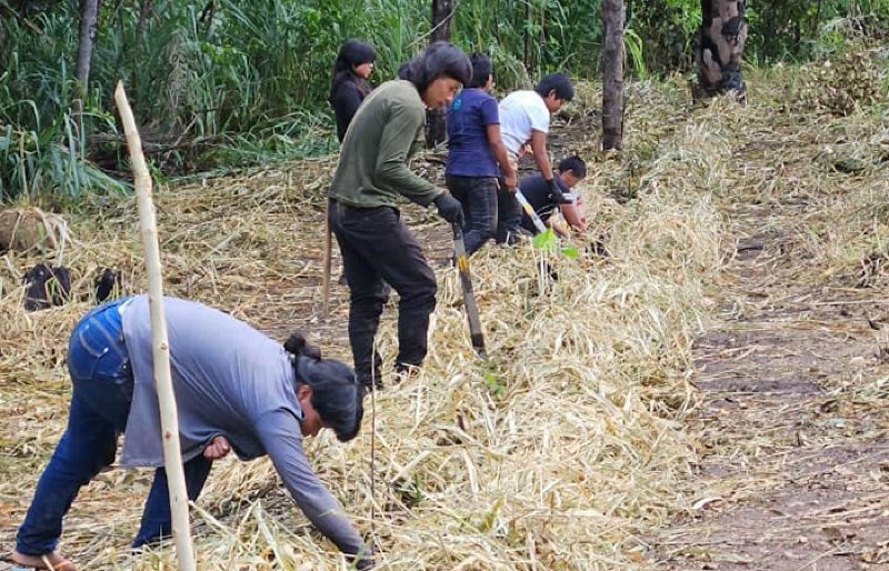 Governo de Mato Grosso investe R$ 1,5 milhão para fortalecer produção indígena Xavante - EMPAER - Site