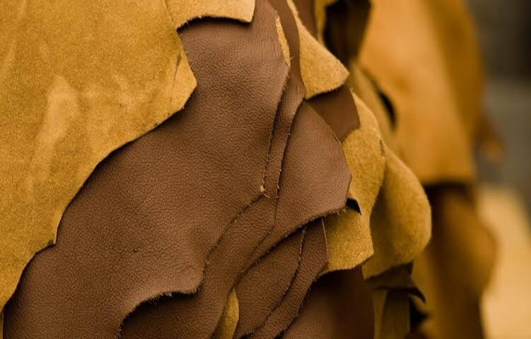 JBS exporta 550 t mensais de resíduo de couro para virar fertilizante na Itália