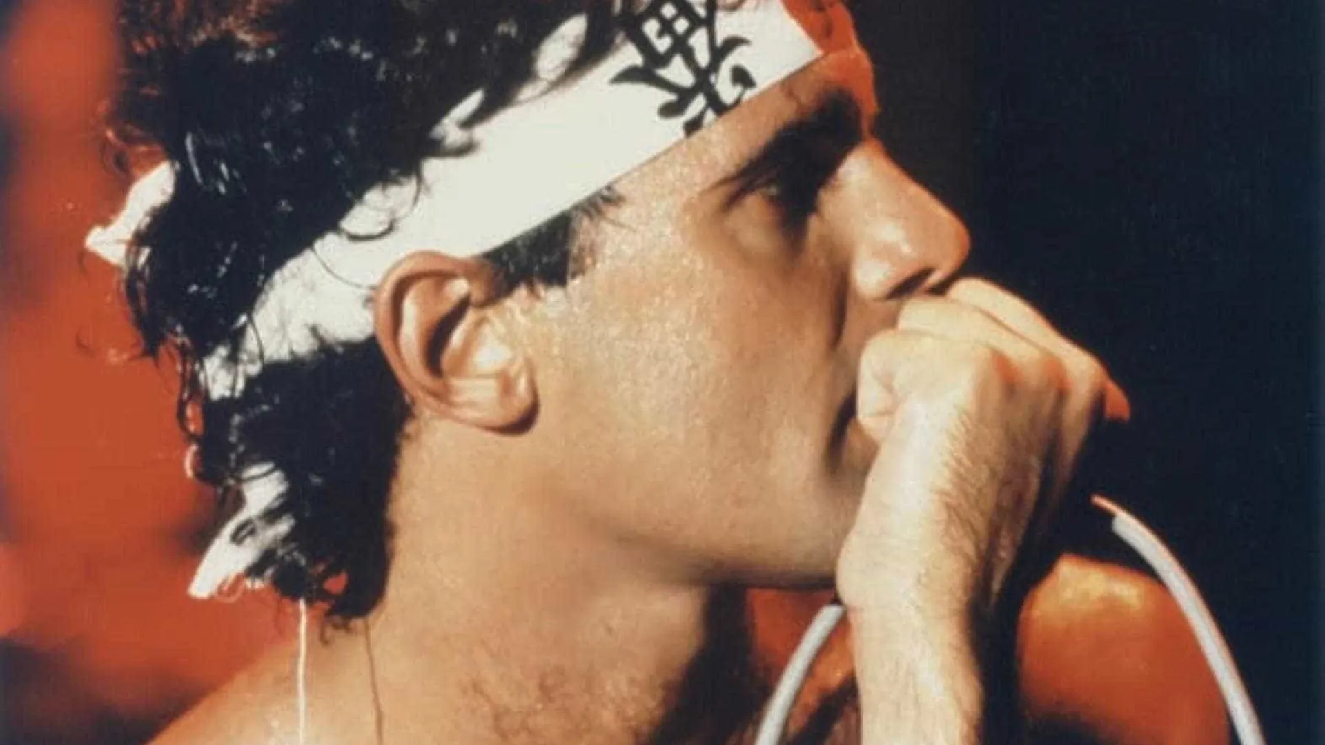 Com Lucinha Araújo no júri, concurso irá dizer quem é o melhor intérprete de Cazuza