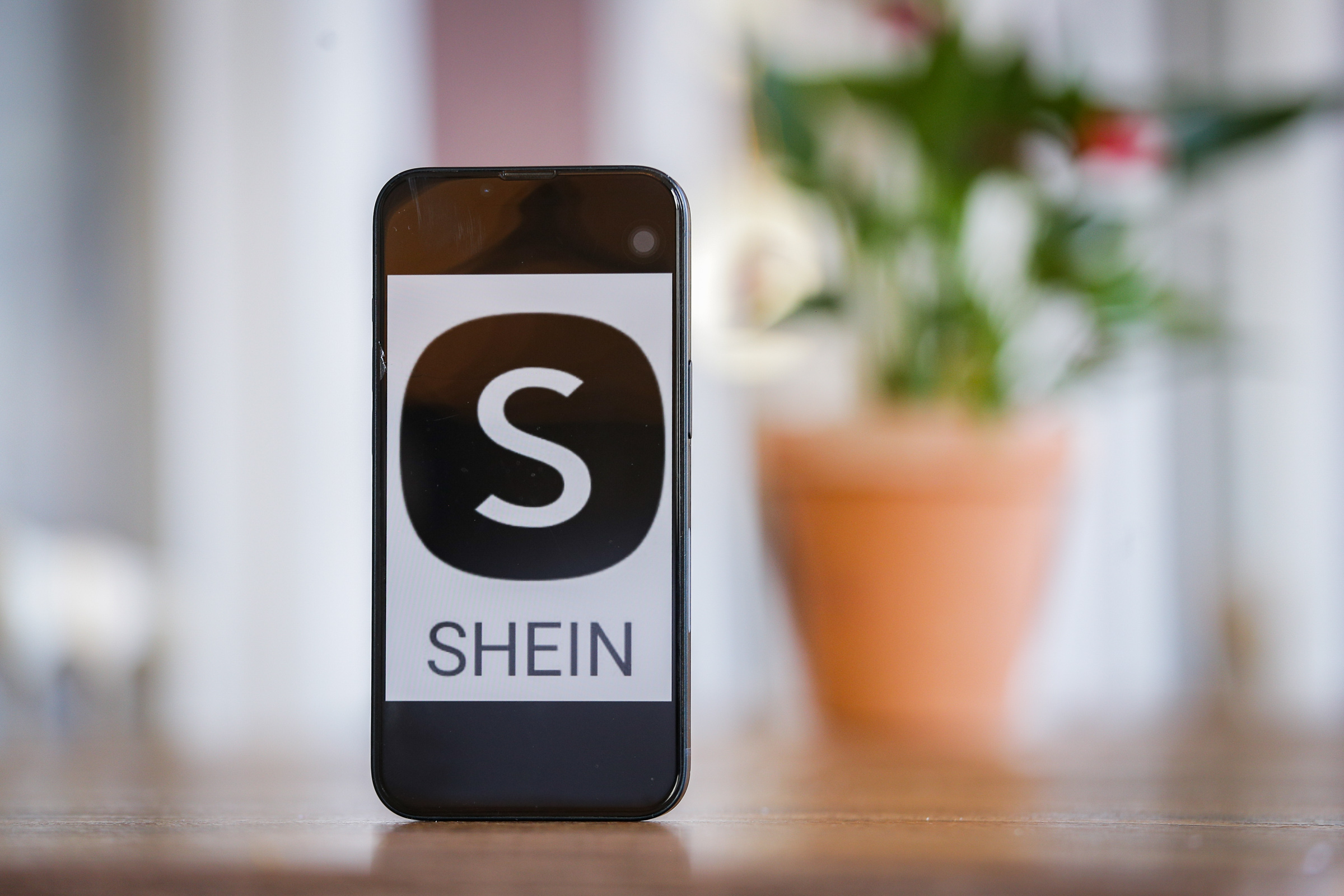 Shein revelará à Justiça da França compradores de bonecas sexuais infantis