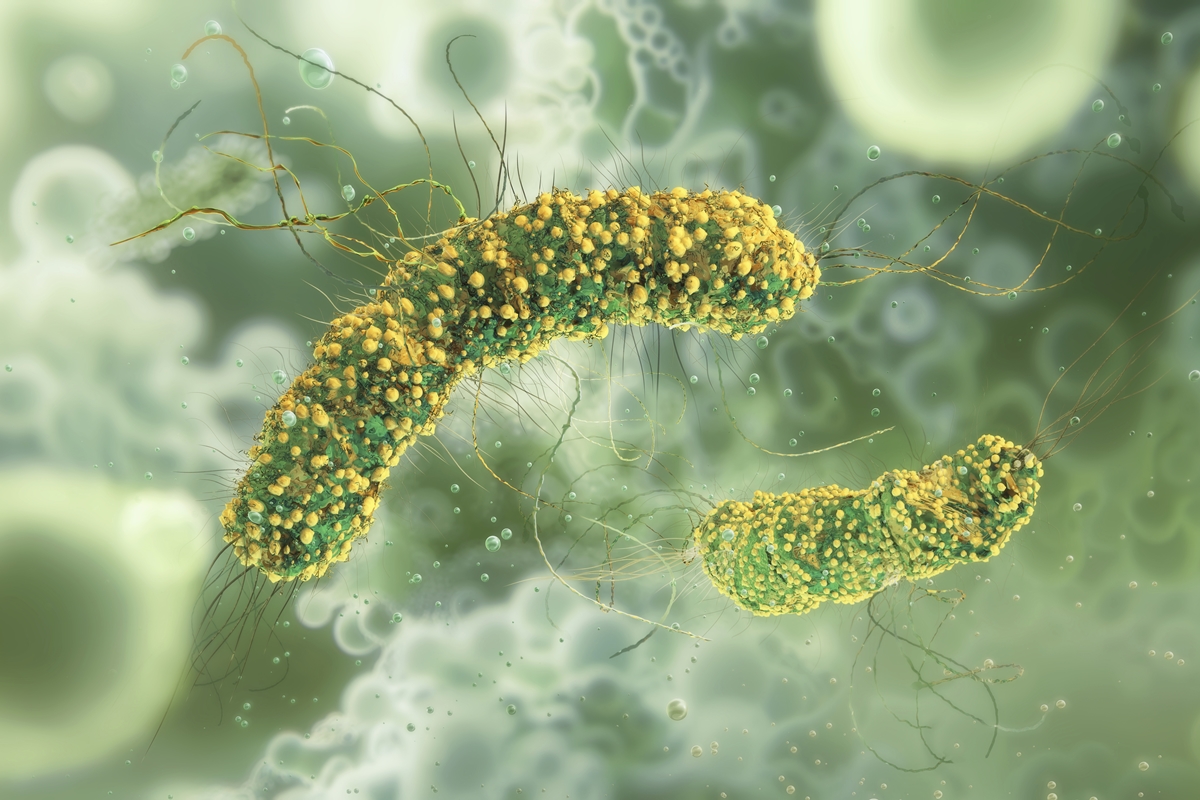 Massas instantâneas contaminadas por bactéria matam 6 pessoas nos EUA