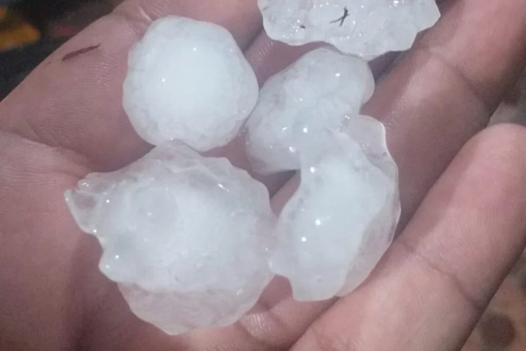 Granizo atinge lavouras de soja e milho no PR e cooperativas levantam prejuízos