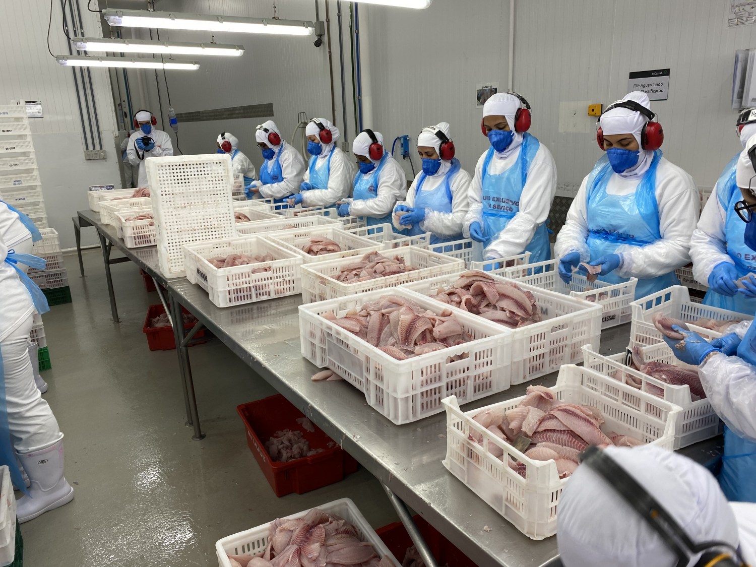 UE vai fazer auditoria para reabertura de pescados do Brasil no 1ºsem de 2026