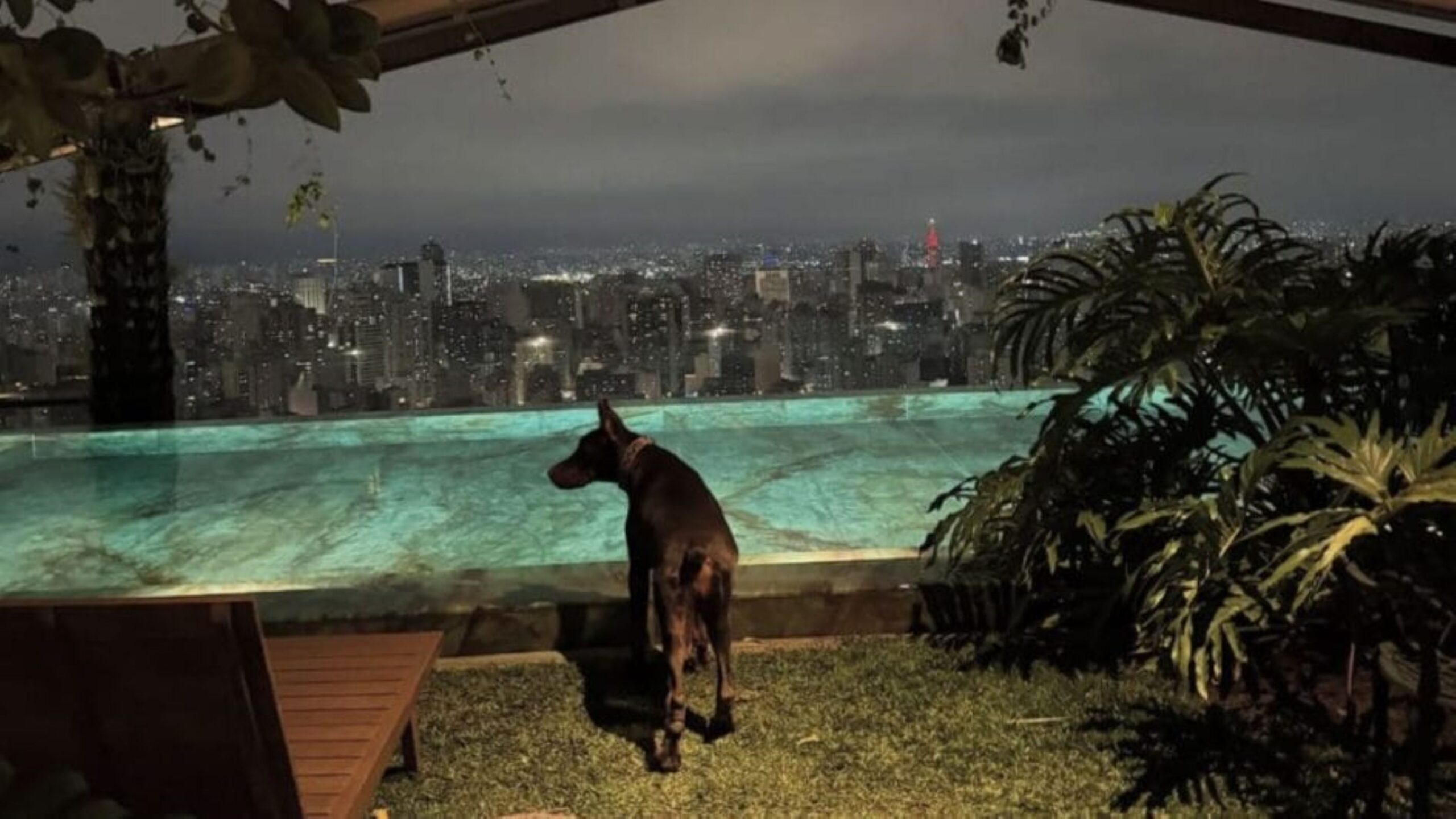 Corinthians pede para Depay deixar hotel que custa R$ 250 mil por mês