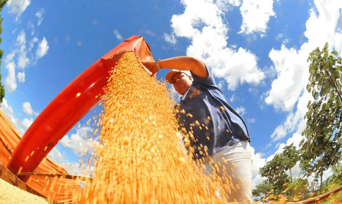 Dino suspende ações que discutem validade da Moratória da Soja na Justiça