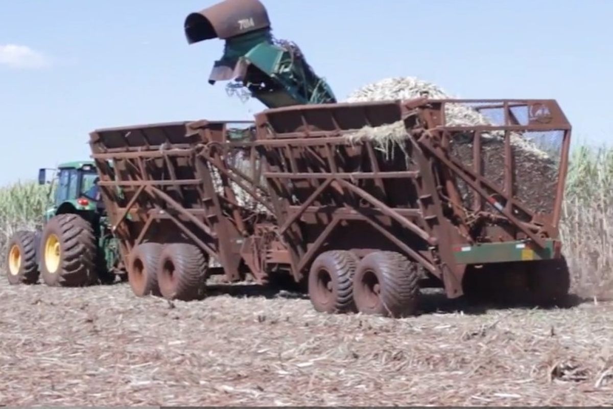 Justiça determina reintegração de posse em usina que teria elo com PCC