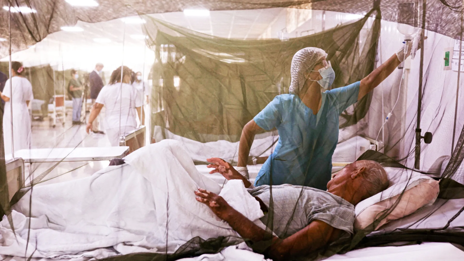 Febre do Oropouche: Sintomas que preocupam o Brasil