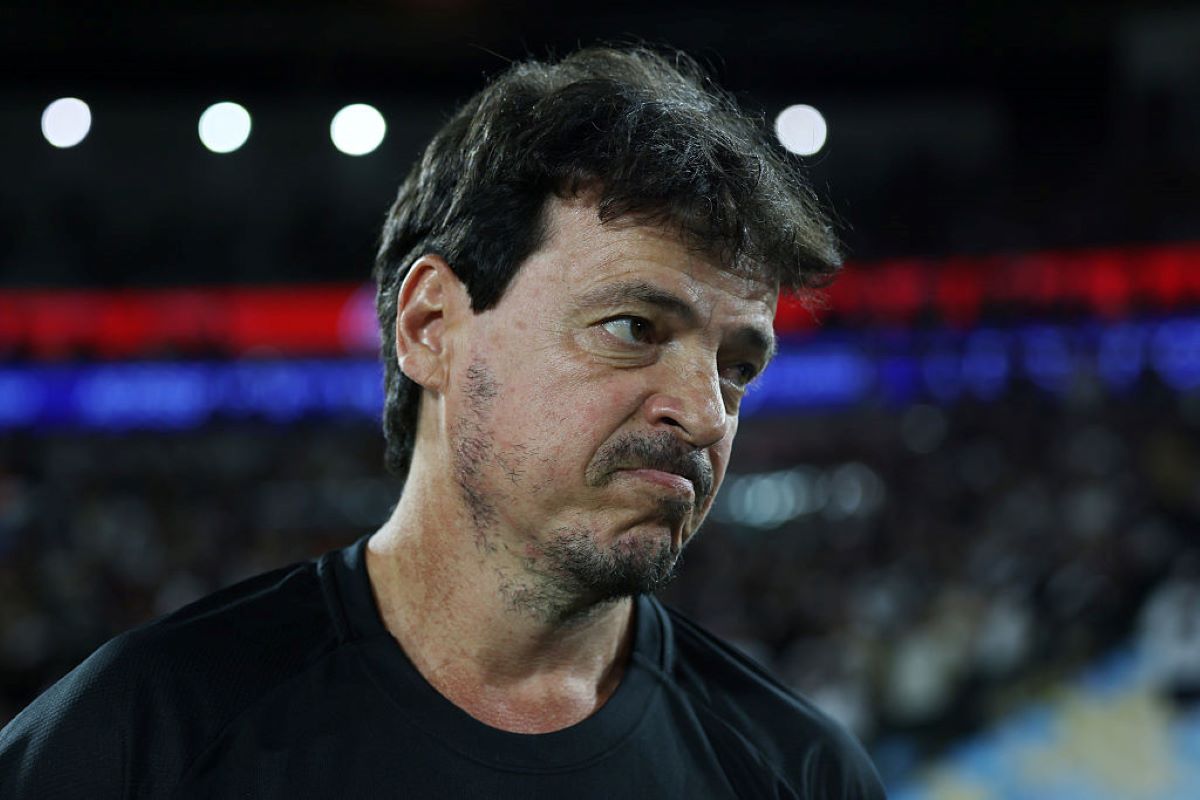 Confira como Fernando Diniz classificou a derrota para o Botafogo