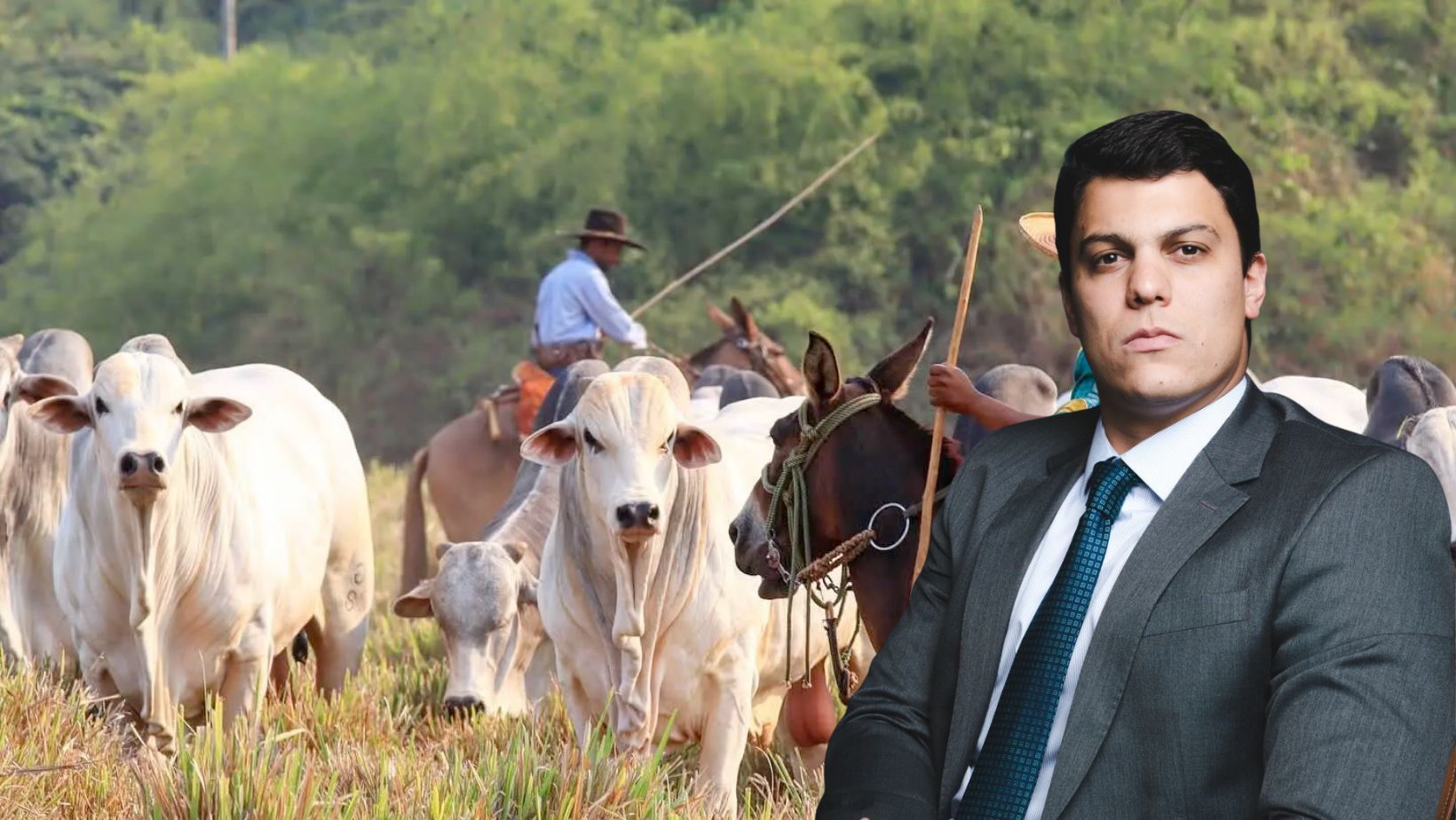 Justiça suspende cobranças e execuções do Banco do Brasil em ações de grupo familiar