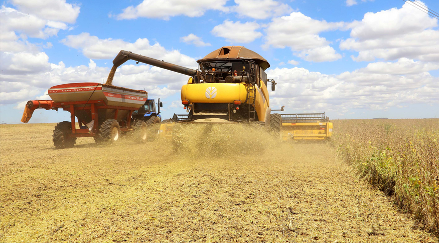Sindicato Rural de Itapirapuã promove ações de orientação e apoio a produtores endividados diante de cenário desafiador no campo