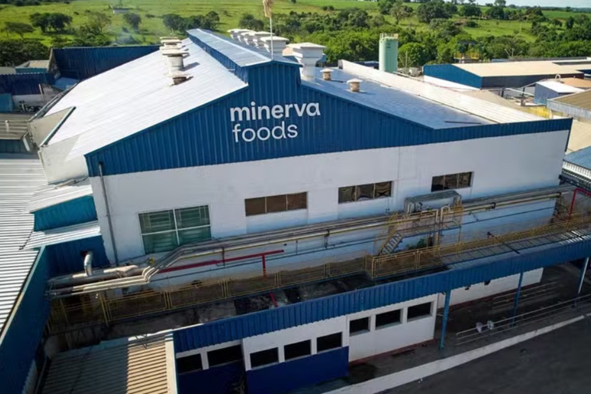 Ações da Minerva desabam e lideram perdas na Bolsa após balanço