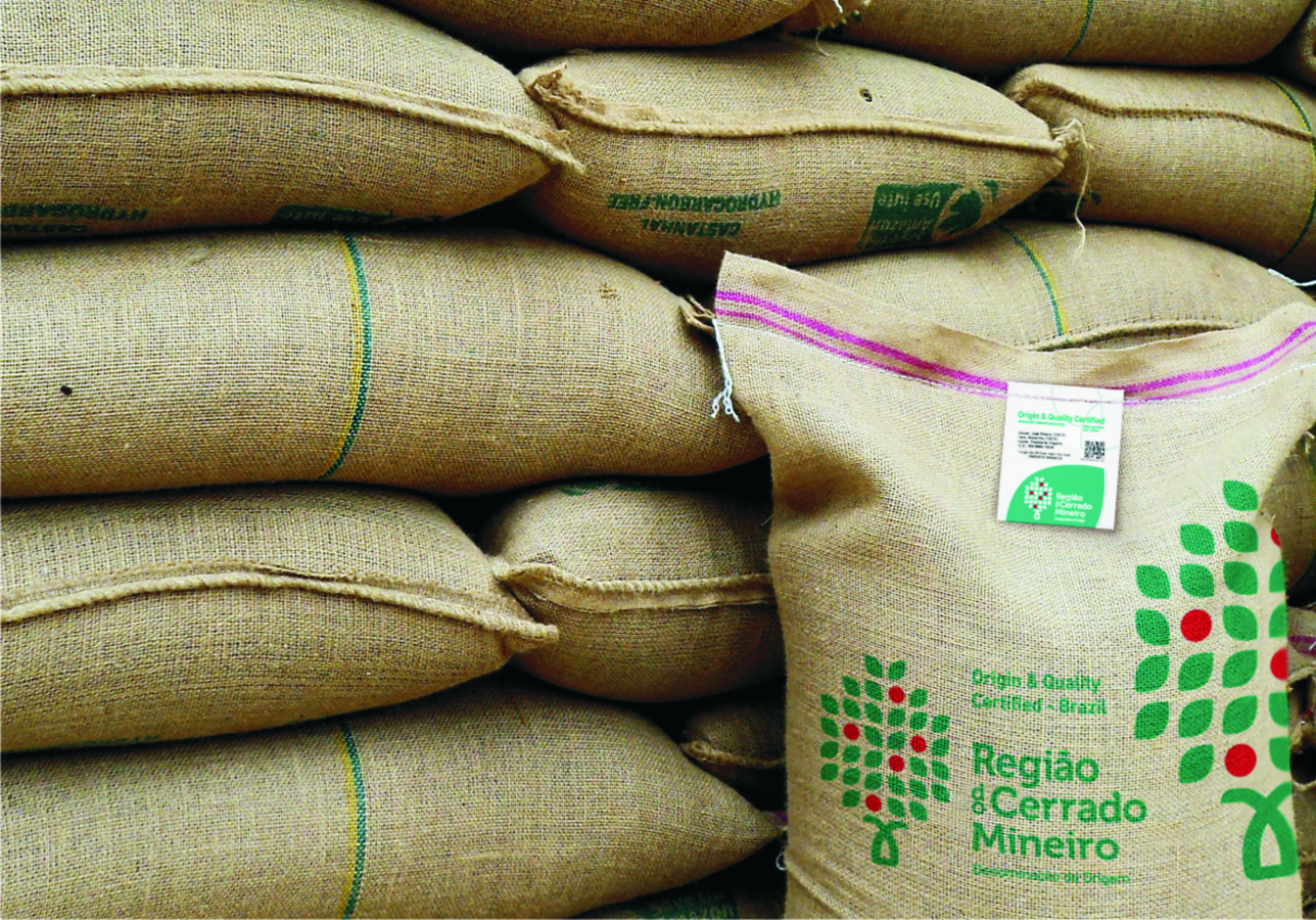 Exportação de café em outubro recua 16,5% em volume, mas cresce 16% em receita