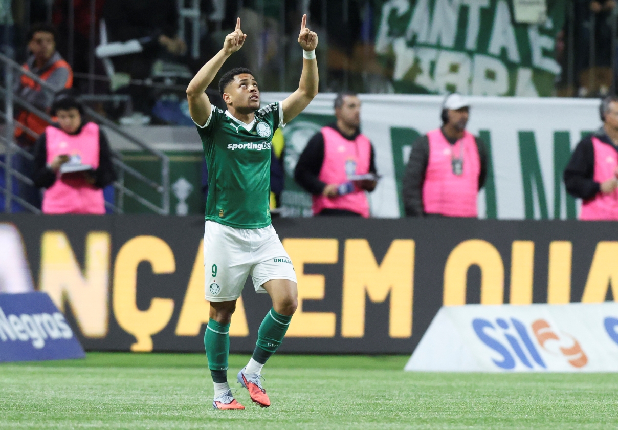 Brasileirão: Palmeiras vence, se isola na liderança põe Santos no Z4