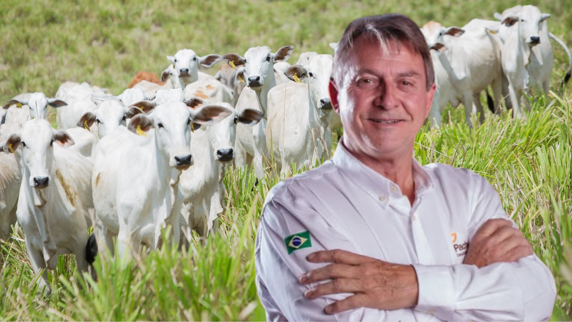 “A pecuária foi construída para dar errado”: Você é fazendeiro ou dono de fazenda?