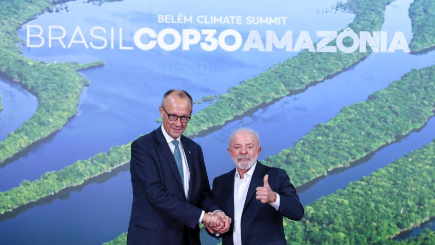 Fundo florestal: Alemanha não divulga valor e Espanha fica de fora