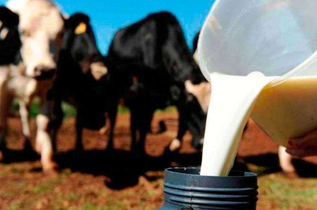 Mato Grosso aposta em tecnologia e tradição para crescer na produção de leite