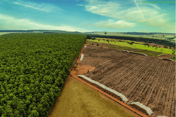 Reserva Legal em fazendas antigas ainda gera insegurança jurídica e especialistas alertam