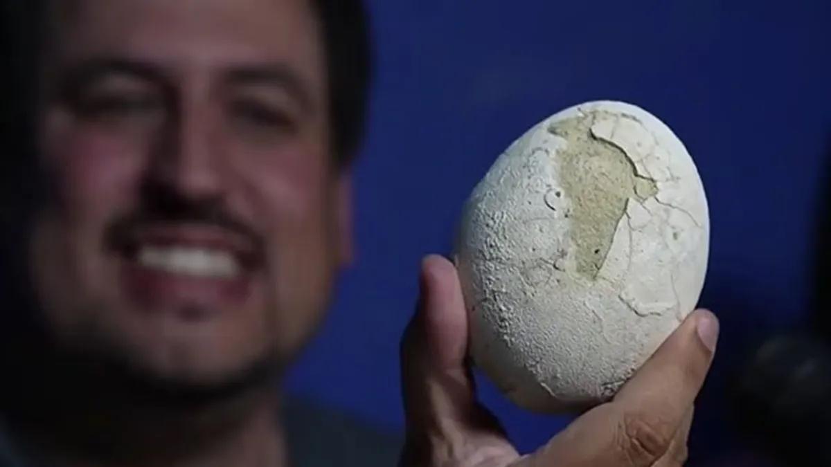 Ovo de dinossauro carnívoro de 70 milhões de anos é encontrado e pode ter embrião preservado