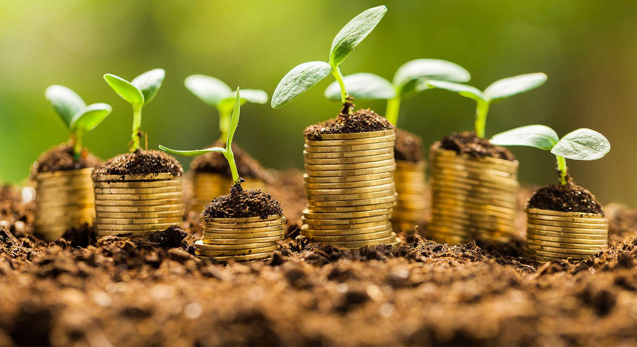 Produtor deve ficar atento à documentação de perdas para negociar prorrogação de financiamentos rurais