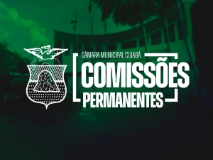 Comissões da Criança e do Adolescente e de Segurança Pública aprovam cinco projetos em reuniões dessa quinta-feira