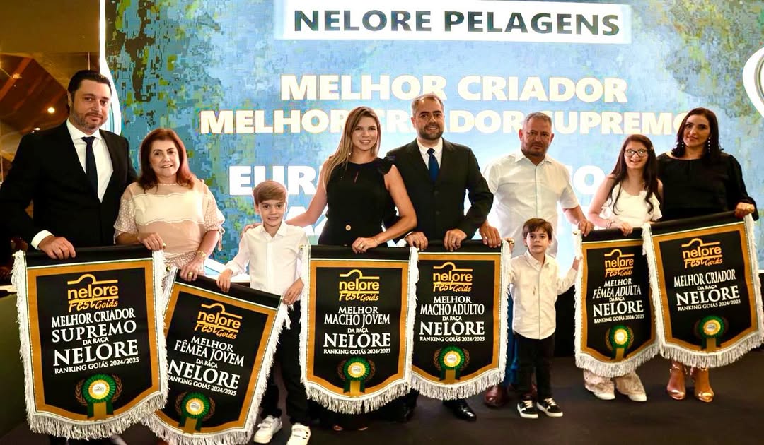 Nelore EV se consagra o melhor criador de Nelore Pelagens, além de dominar outras categorias